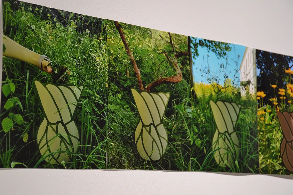 Cover image of In a Beautiful Garden by Anna Samoilovych, a Land Art Practice (Kyiv Course), based in gallery CENTER, Voznesenskyi Descent, 20 (NAOMA), Kyiv, created in 18.07.2024 - 31.07.2024